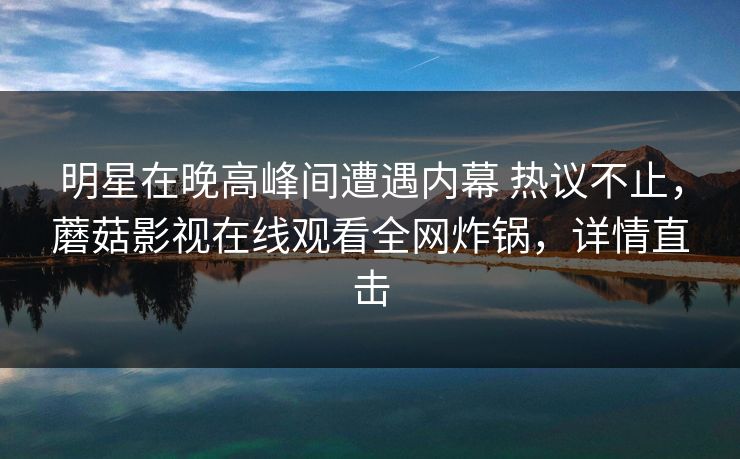 明星在晚高峰间遭遇内幕 热议不止，蘑菇影视在线观看全网炸锅，详情直击